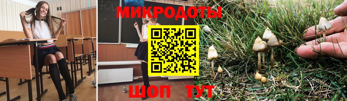 Галлюциногенные грибы мухоморы Белорецк